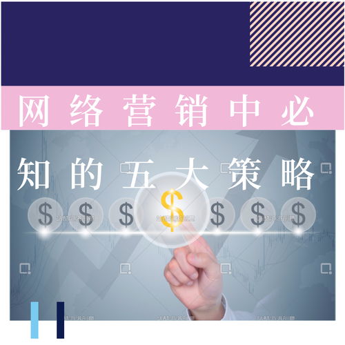网络营销制胜法宝 五大核心策略与策划实战指南